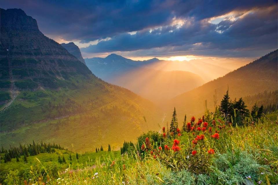 Natur pur